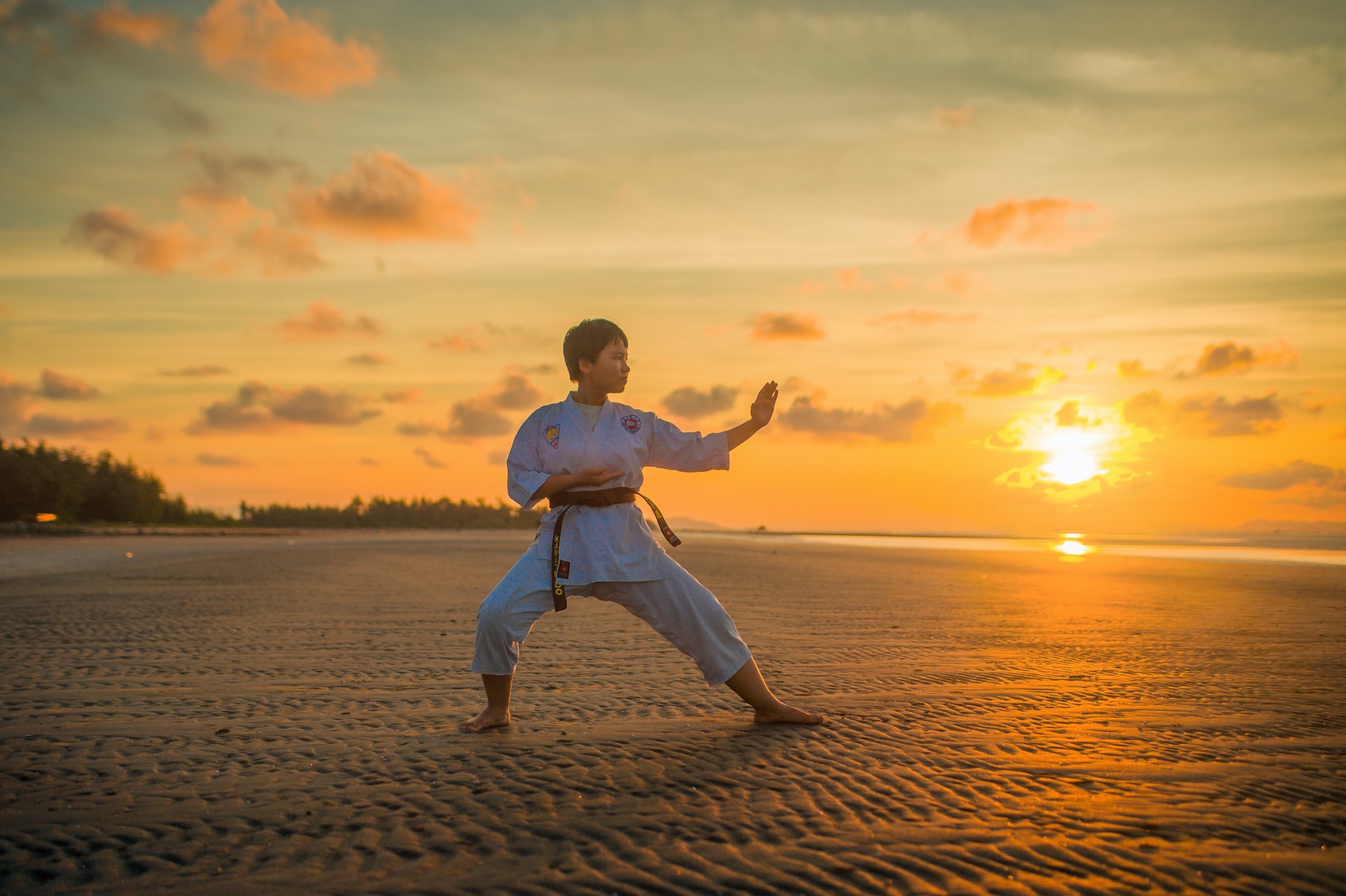 The Karate Kid: A Comprehensive Guide To The Film And Its Legacy The Karate Kid: A Comprehensive Guide To The Film And Its Legacy
