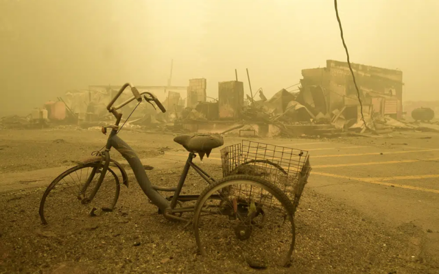 The Los Angeles Wildfires: A Case Study In Disaster Betting