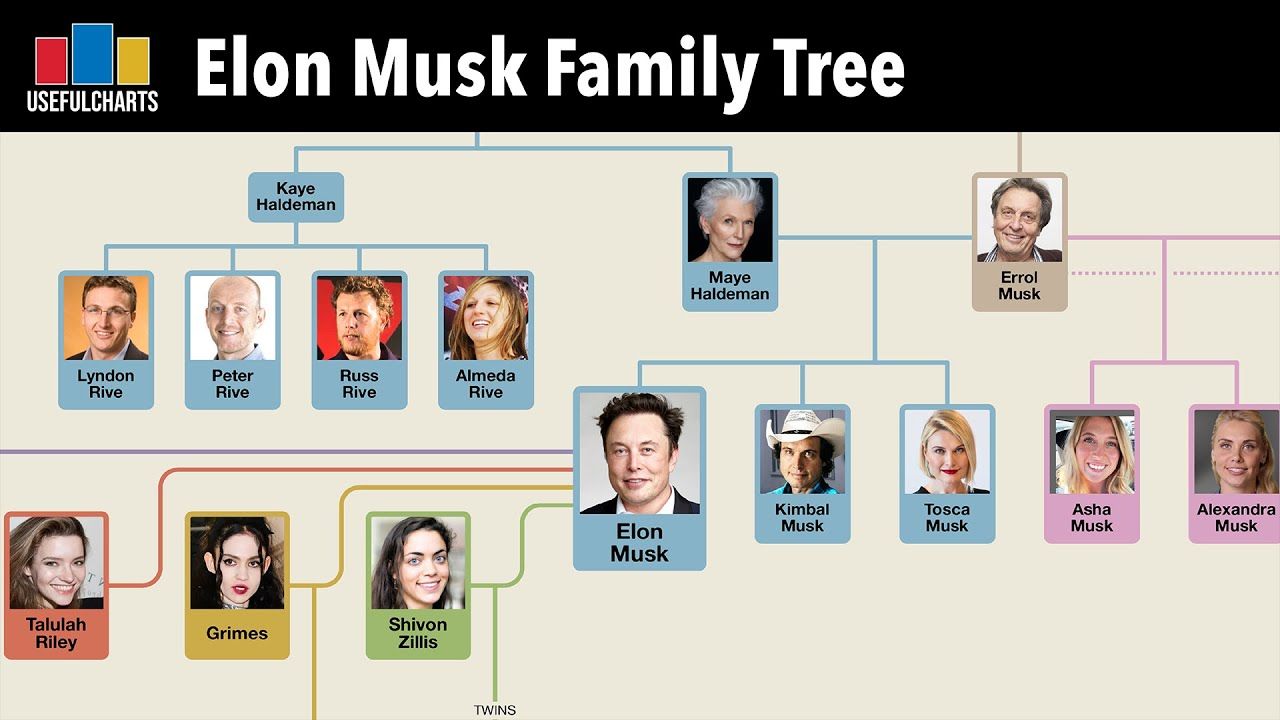 The Musk Family Fortune: Years Of Hard Work And The Rise To Billionaire Status The Musk Family Fortune: Years Of Hard Work And The Rise To Billionaire Status