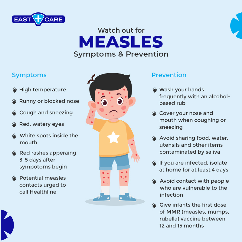 The Persistence Of Measles: Understanding Continued Transmission The Persistence Of Measles: Understanding Continued Transmission