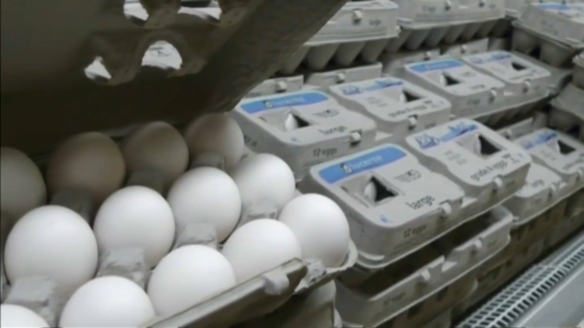The Reality Of Rising Egg Prices: A Comparison To Trump's Remarks The Reality Of Rising Egg Prices: A Comparison To Trump's Remarks