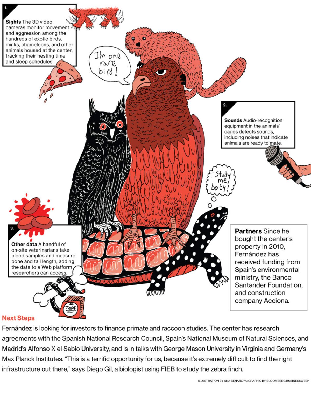 The Reality Of US Funding In Transgender-Related Animal Research The Reality Of US Funding In Transgender-Related Animal Research