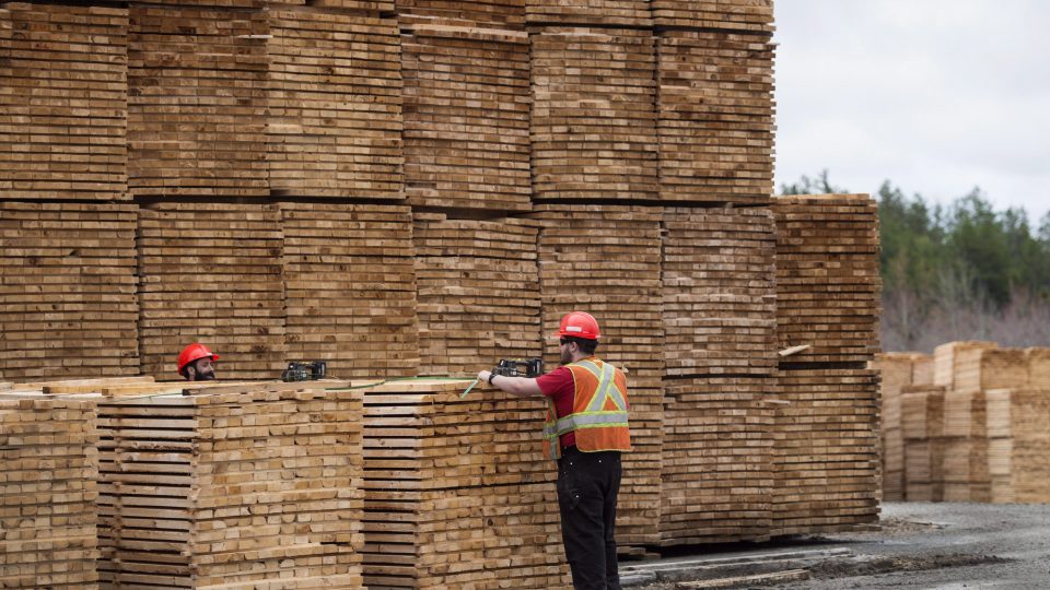 The Rise Of Samuel Dickson: A Canadian Lumber Industry Pioneer The Rise Of Samuel Dickson: A Canadian Lumber Industry Pioneer