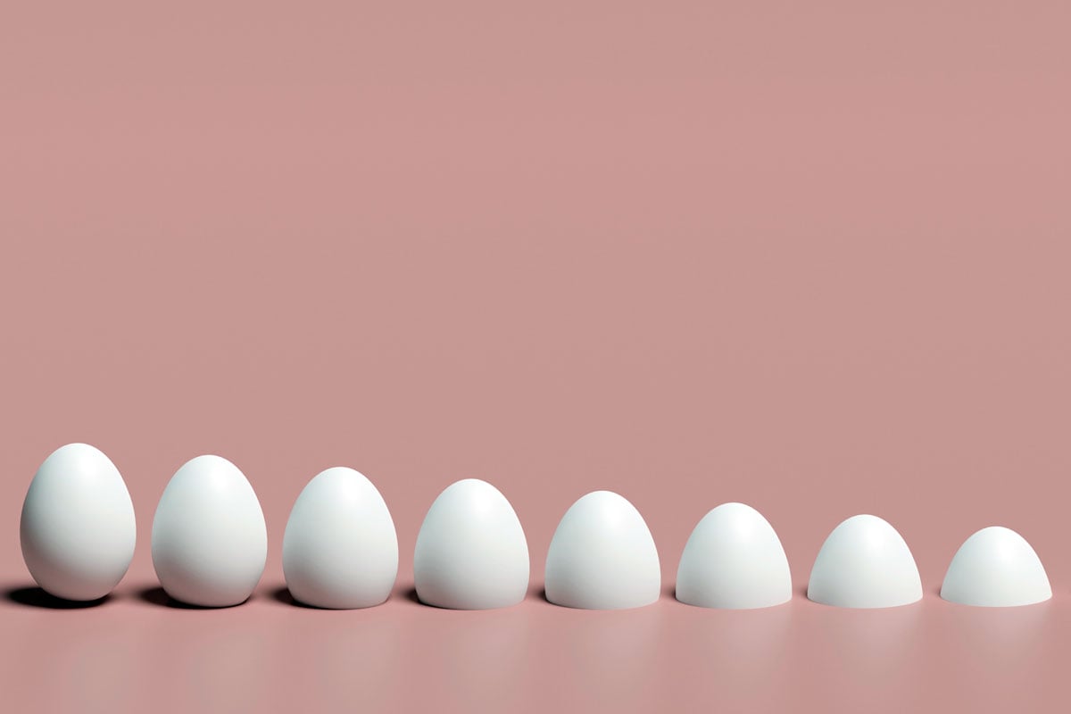 The Surprising Accuracy Of Trump's Egg Price Remarks The Surprising Accuracy Of Trump's Egg Price Remarks