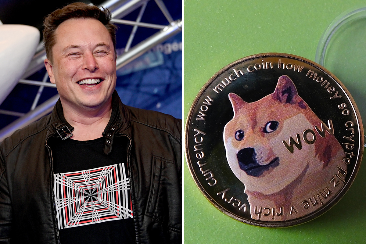 The Truth About Elon Musk And His Dogecoin Investments