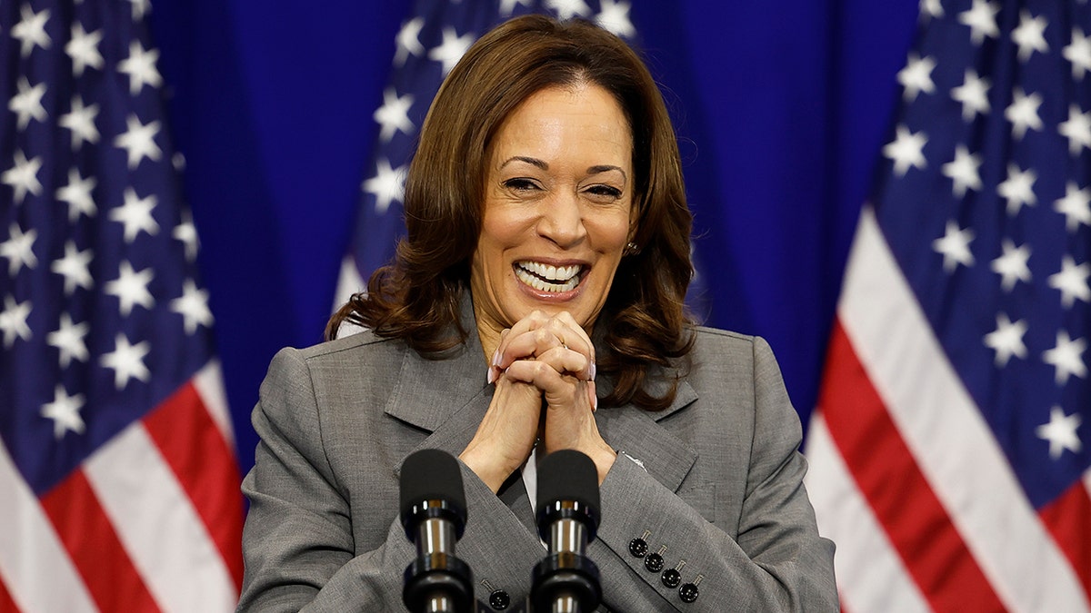 The Vice Presidency: Kamala Harris's Impact And Challenges The Vice Presidency: Kamala Harris's Impact And Challenges
