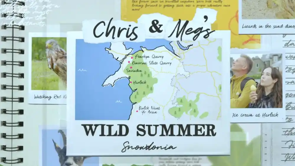 Their Wild Summer: Chris And Meg's Journey Their Wild Summer: Chris And Meg's Journey