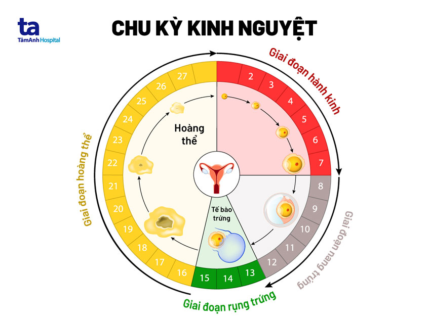 Thời Gian Xông Hơi: Bao Lâu Là Đủ Và An Toàn? Thời Gian Xông Hơi: Bao Lâu Là Đủ Và An Toàn?