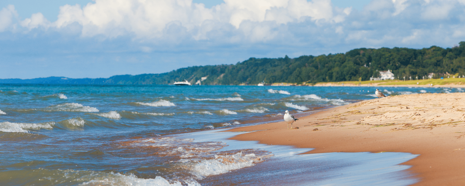 Top College Towns In Michigan: Why [City Name] Stands Out