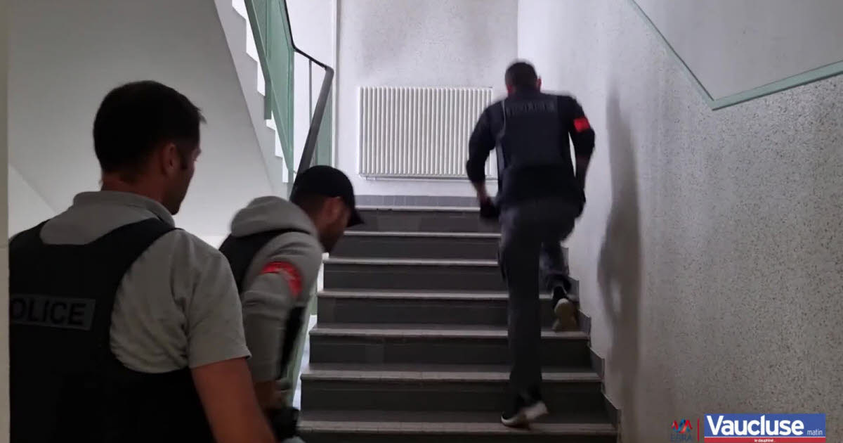 Toulon : Un Policier En Jogging Empêche Une Intrusion Dans Une École Par Un Individu Sous OQTF Toulon : Un Policier En Jogging Empêche Une Intrusion Dans Une École Par Un Individu Sous OQTF