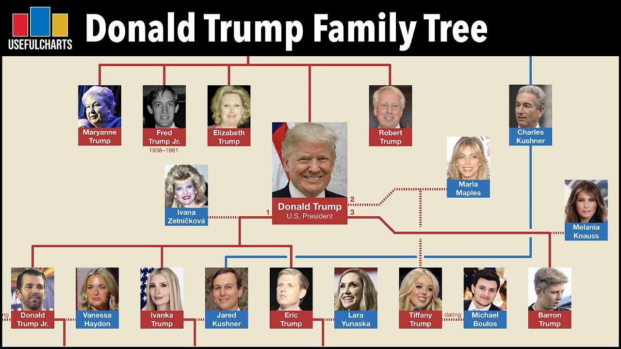 Tracing The Trump Family Tree: Generations Of Influence Tracing The Trump Family Tree: Generations Of Influence
