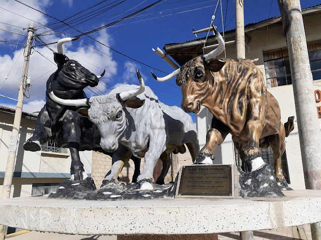 Tres Toros Viajan De Uruguay A China Como Regalo A Xi Jinping Tres Toros Viajan De Uruguay A China Como Regalo A Xi Jinping