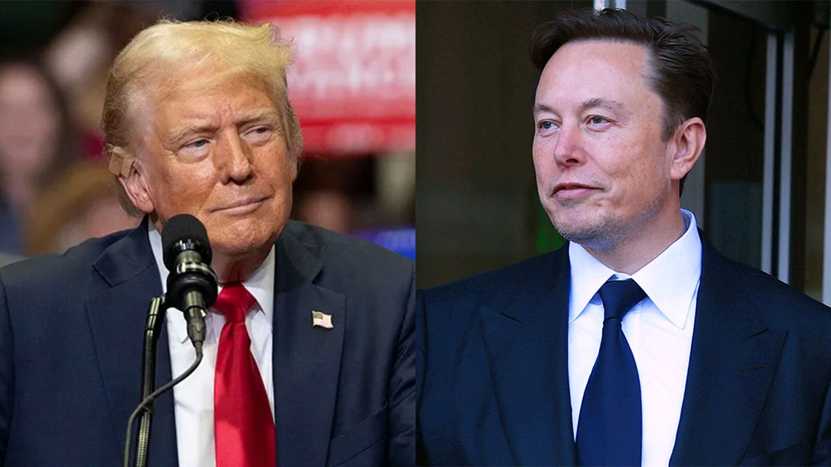 Trump And Musk:  A New Era Of Collaboration?