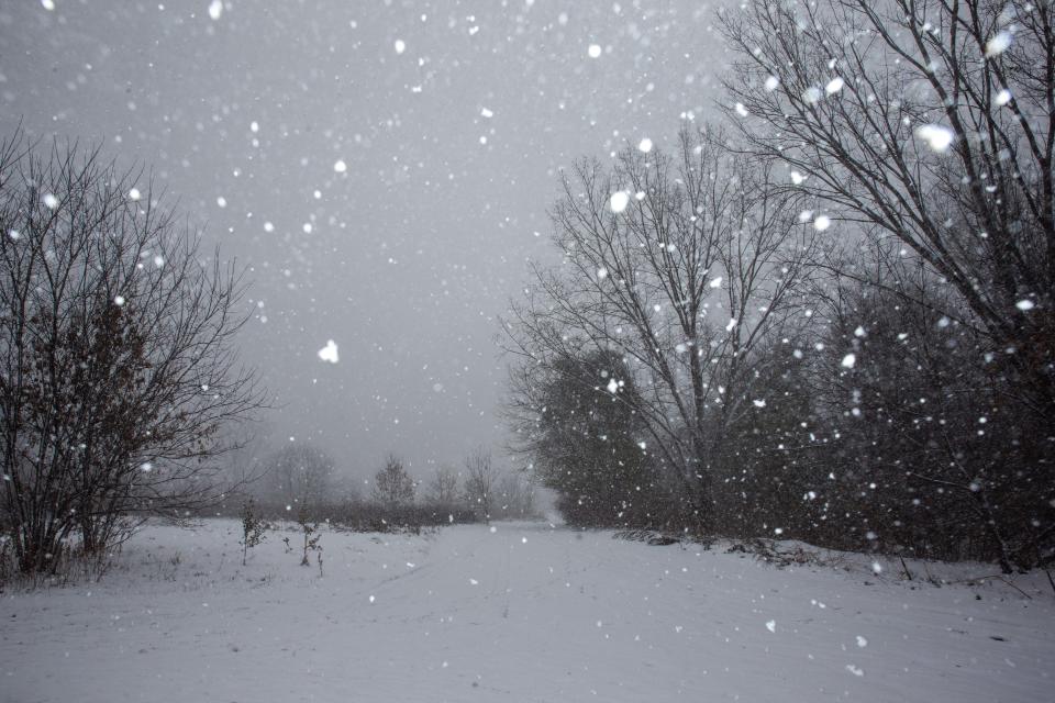 Tuesday's Snowstorm: Wind Advisory In Effect Tuesday's Snowstorm: Wind Advisory In Effect