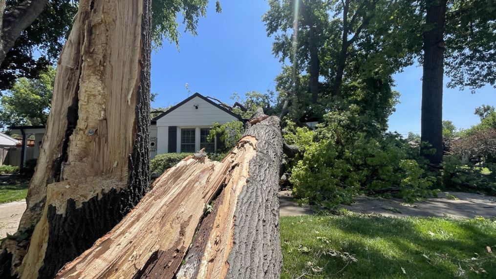 Tulsa Storm Damage Reporting: Crucial For NWS Tracking Of Saturday's Weather Tulsa Storm Damage Reporting: Crucial For NWS Tracking Of Saturday's Weather