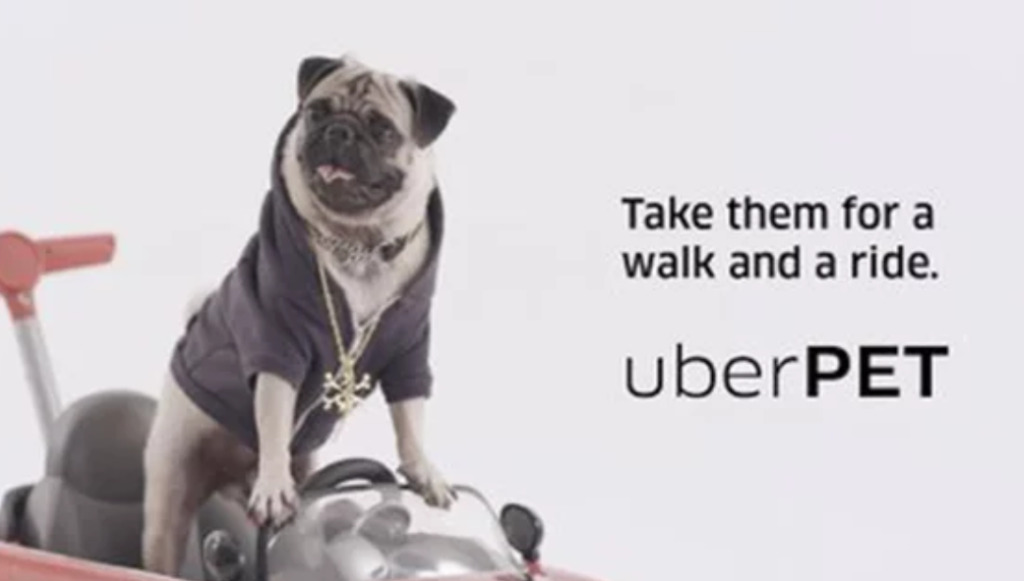 Uber Pet Service Now Available In Delhi And Mumbai Uber Pet Service Now Available In Delhi And Mumbai
