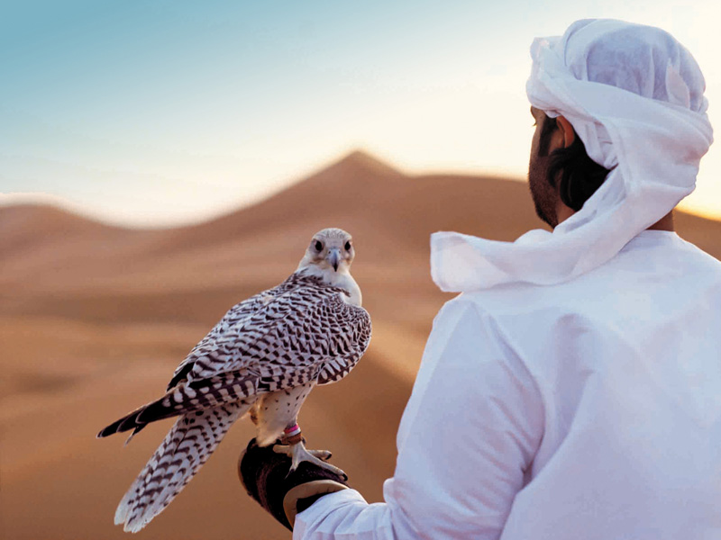 Ujedinjeni Arapski Emirati: Kultura, Tradicija I Moderni Život Ujedinjeni Arapski Emirati: Kultura, Tradicija I Moderni Život