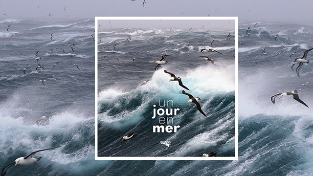 Un Jour En Mer : Guide Complet Pour Tous Les Marins Un Jour En Mer : Guide Complet Pour Tous Les Marins