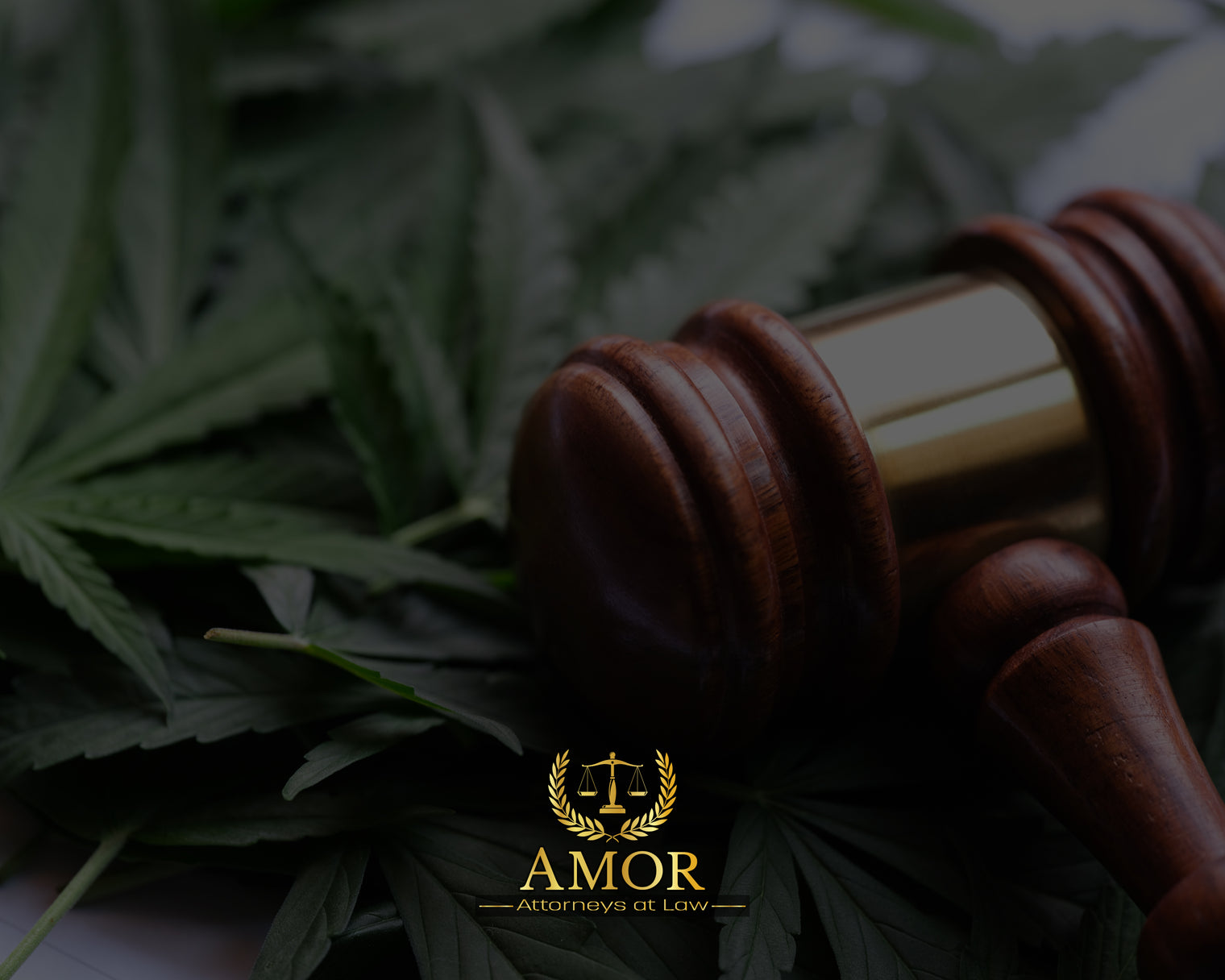 Understanding Georgia's Hemp Laws: Legal Products Available Today Understanding Georgia's Hemp Laws: Legal Products Available Today