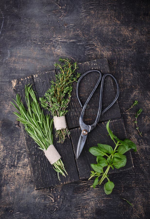 Understanding Rosemary & Thyme: From Garden To Plate Understanding Rosemary & Thyme: From Garden To Plate