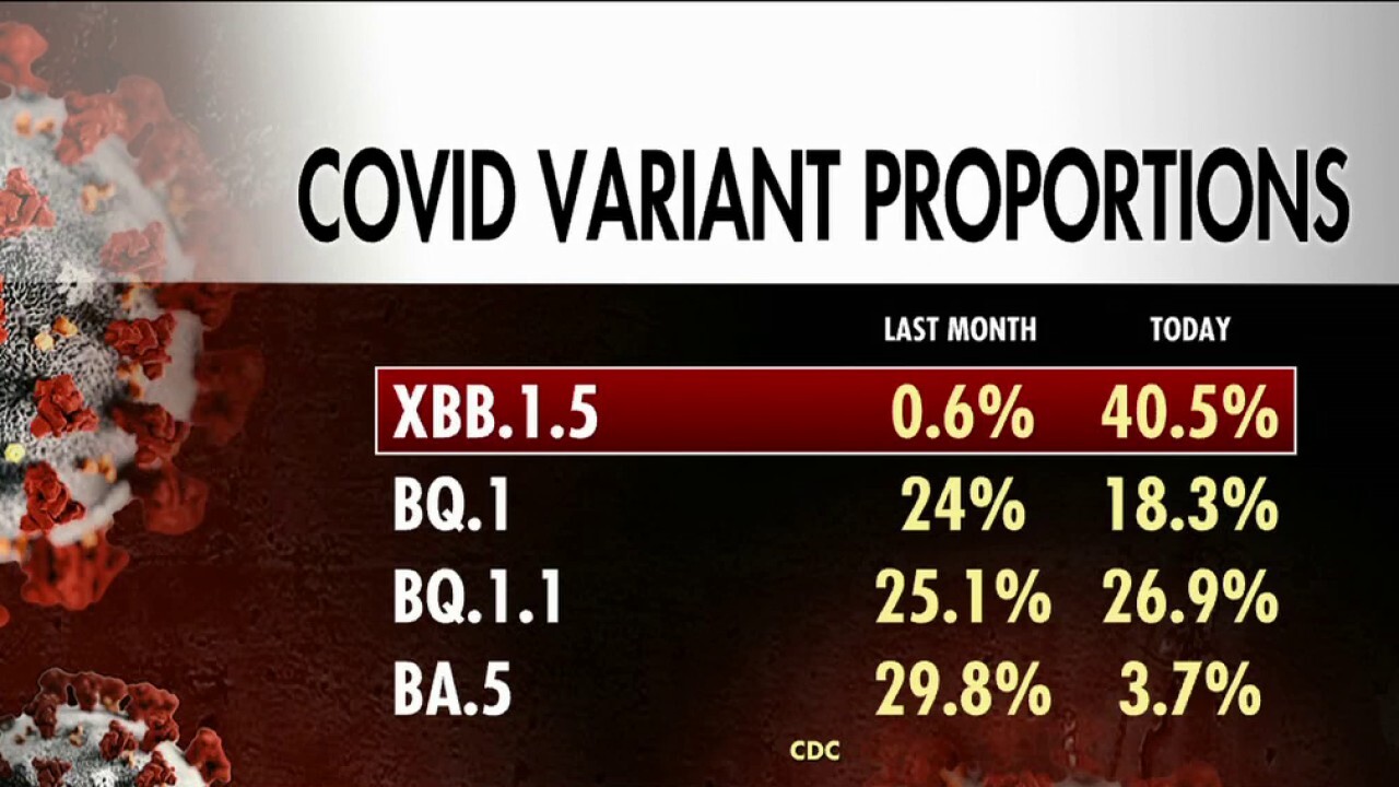 Understanding The Impact: The New COVID-19 Variant And Its Spread Understanding The Impact: The New COVID-19 Variant And Its Spread