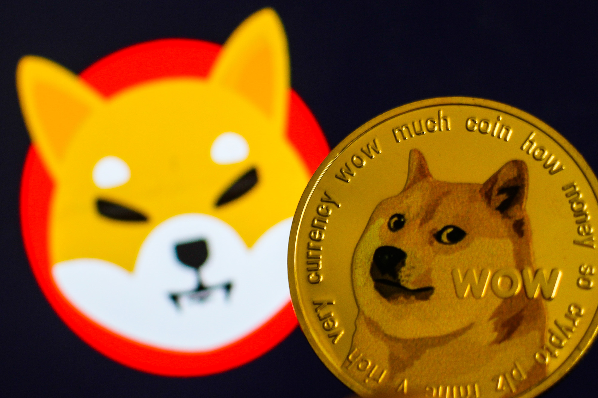 Understanding The Recent Price Jumps In Dogecoin, Shiba Inu, And Sui Understanding The Recent Price Jumps In Dogecoin, Shiba Inu, And Sui