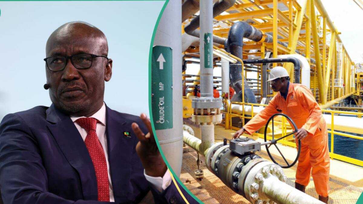 Understanding The Relationship Between Dangote And NNPC Petrol Prices Understanding The Relationship Between Dangote And NNPC Petrol Prices