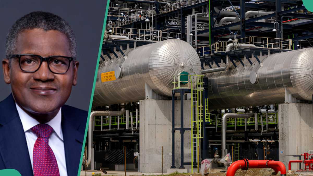 Understanding The Relationship Between Dangote, NNPC, And Petrol Prices Understanding The Relationship Between Dangote, NNPC, And Petrol Prices