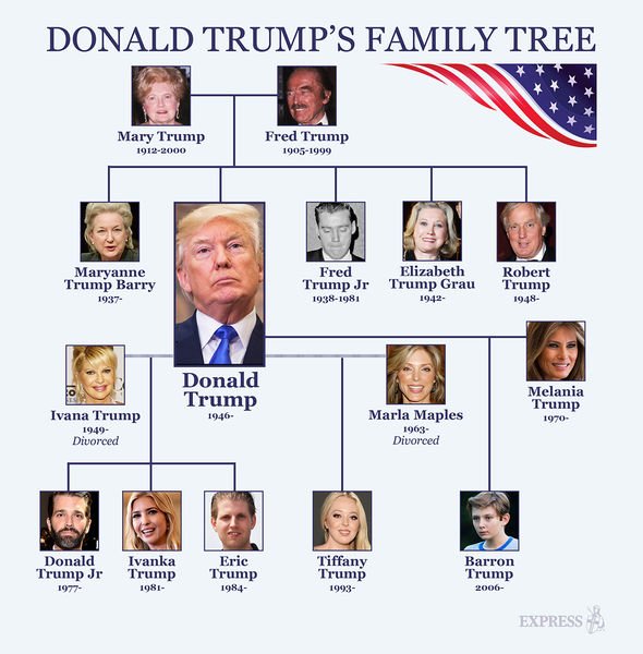 Understanding The Trump Family Tree: An Overview Of The President's Family Understanding The Trump Family Tree: An Overview Of The President's Family
