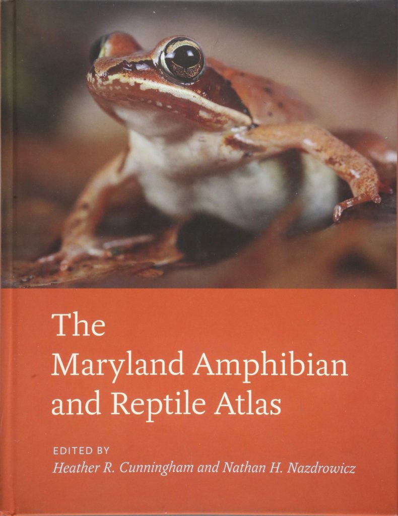 University Of Maryland Commencement: A Celebrated Amphibian To Speak University Of Maryland Commencement: A Celebrated Amphibian To Speak