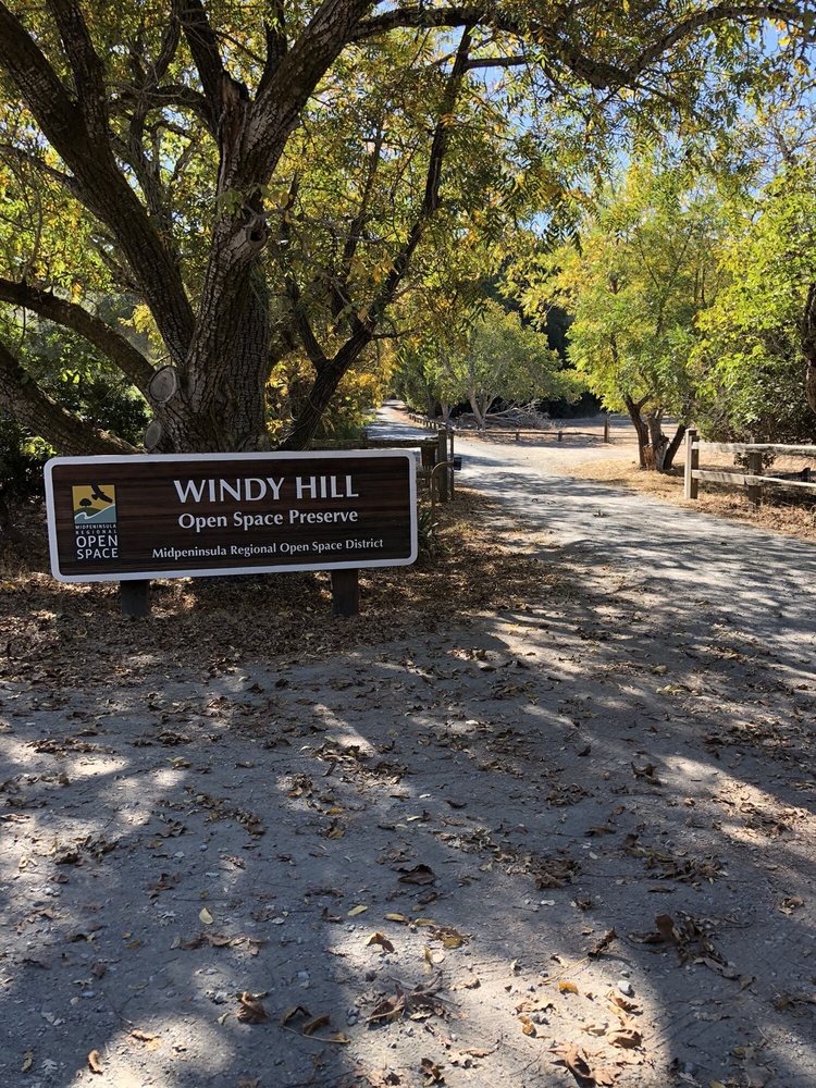 Update: Search For Missing Woman (79) In Portola Valley Preserve Update: Search For Missing Woman (79) In Portola Valley Preserve