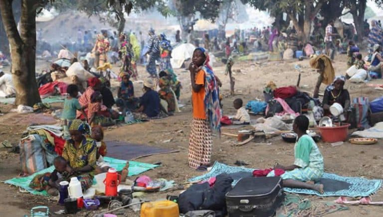 Urgence Humanitaire En Haïti : Plus De ⅓ Des Enfants Déplacés Ont Moins De 5 Ans Urgence Humanitaire En Haïti : Plus De ⅓ Des Enfants Déplacés Ont Moins De 5 Ans