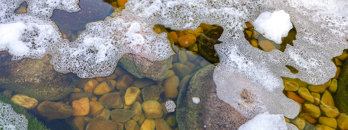 Urgent Action Needed: Extremely High PFAS Contamination In Blue Mountains Water Urgent Action Needed: Extremely High PFAS Contamination In Blue Mountains Water