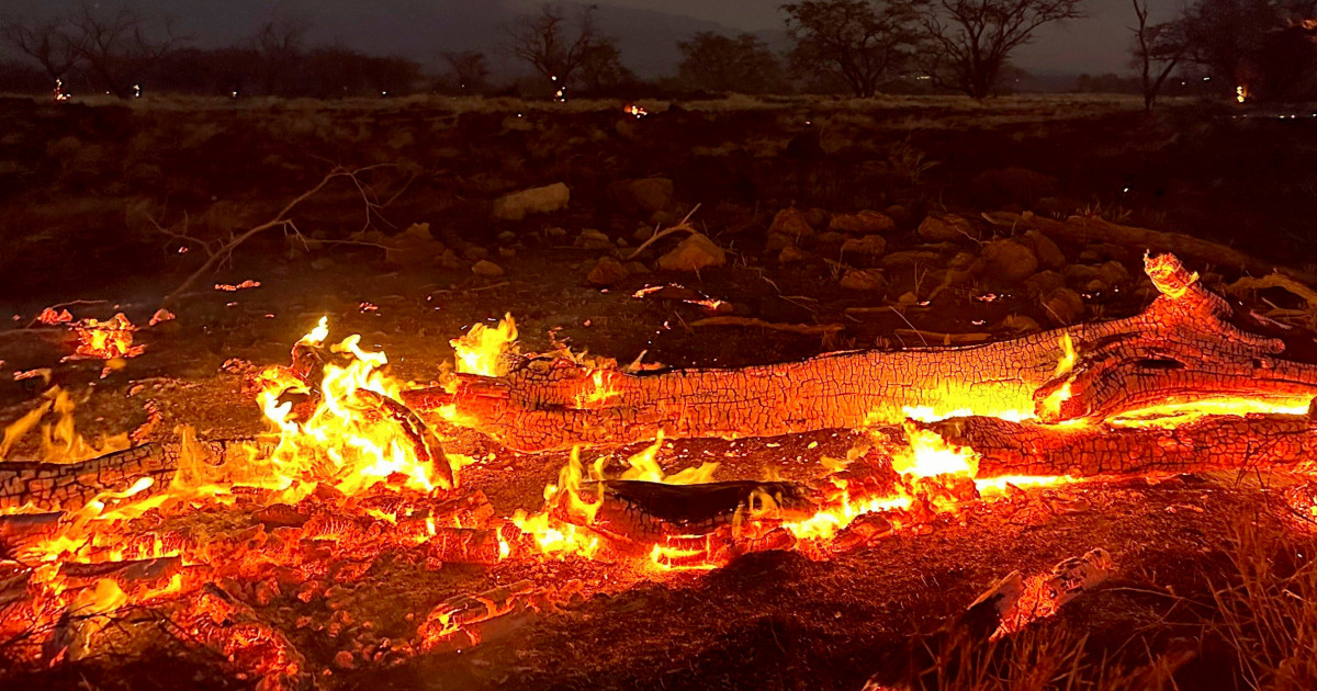 Urgent Action Needed: Wildfires And The UK's Endangered Species Urgent Action Needed: Wildfires And The UK's Endangered Species