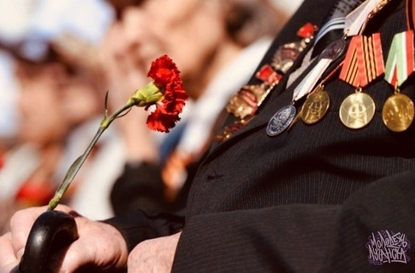 Ветераны ЕАО Получат Выплаты К 80-летию Великой Победы Ветераны ЕАО Получат Выплаты К 80-летию Великой Победы