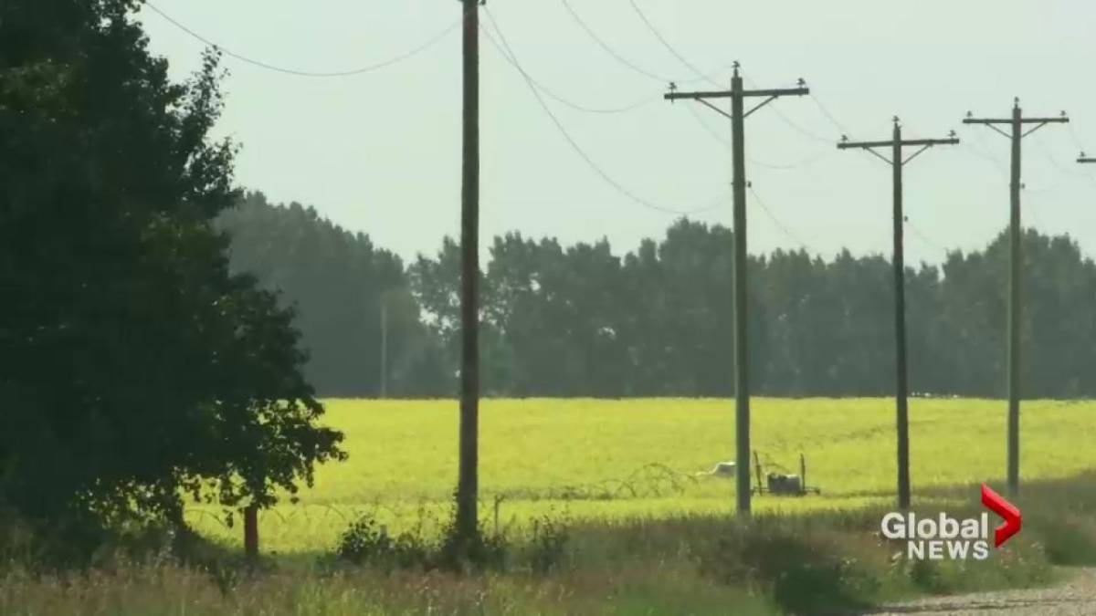 Where Will China Source Canola Now? Exploring New Markets Where Will China Source Canola Now? Exploring New Markets