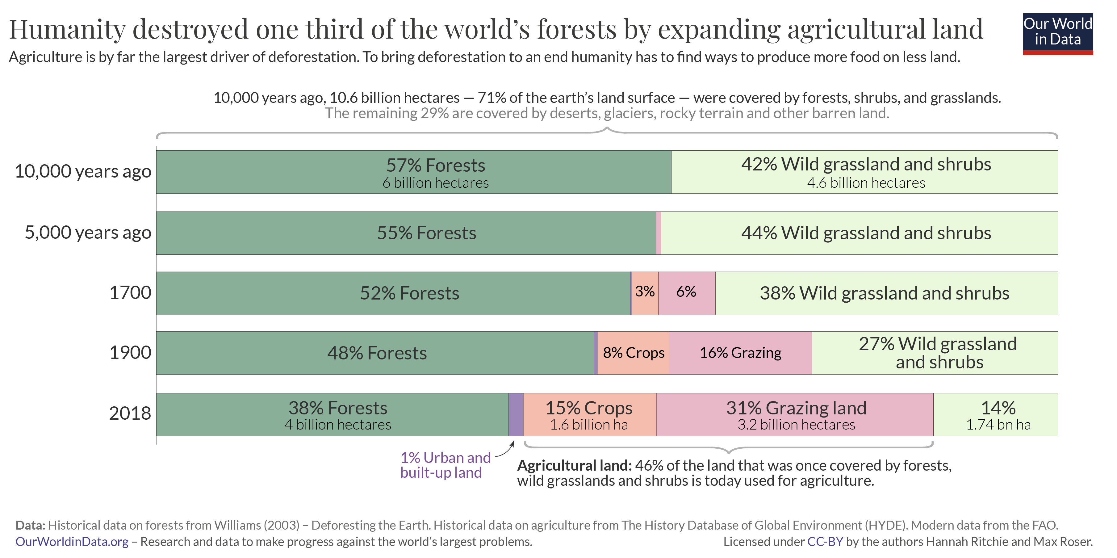 Wildfires And Deforestation: A Record Year Of Global Forest Loss Wildfires And Deforestation: A Record Year Of Global Forest Loss