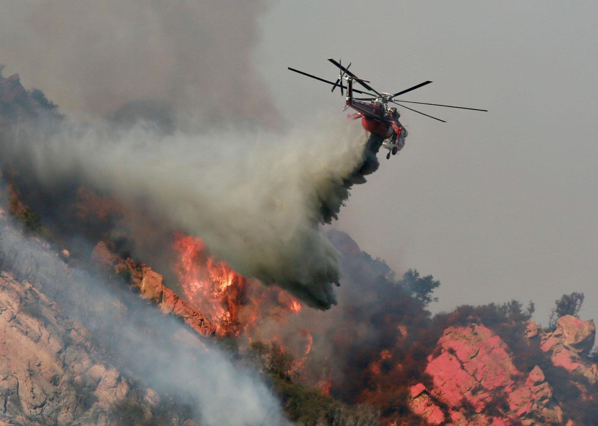 Wildfires Drive Unprecedented Global Forest Loss In 2023 Wildfires Drive Unprecedented Global Forest Loss In 2023