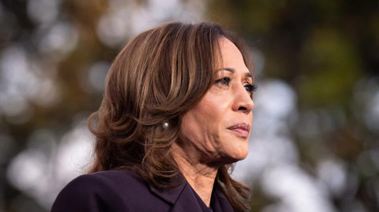Will Kamala Harris Re-enter Politics?  A Timeline Analysis