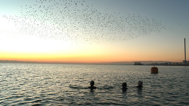 Winterwatch: Your Guide To The Best Winter Birdwatching Spots Winterwatch: Your Guide To The Best Winter Birdwatching Spots