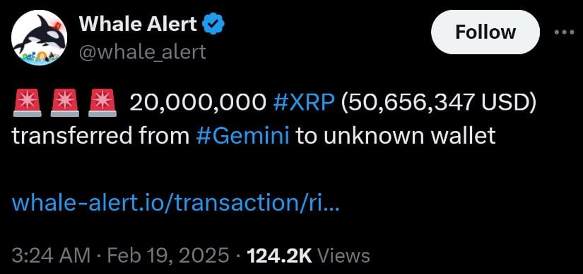 XRP Price Prediction: Impact Of A 20M Token Whale Buy XRP Price Prediction: Impact Of A 20M Token Whale Buy