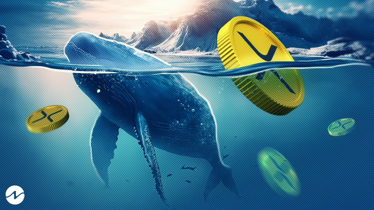 XRP Whale Sends Ripple Market Into Frenzy With 20M Token Buy XRP Whale Sends Ripple Market Into Frenzy With 20M Token Buy