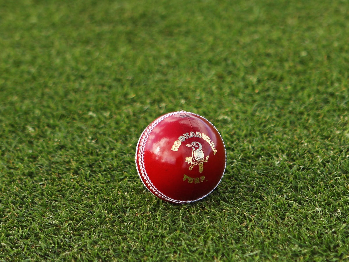 Zimbabwe Test: England Hit By Significant Injury Zimbabwe Test: England Hit By Significant Injury